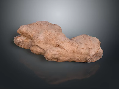 Fresh Ginger Root With Natural Rough Surface And Irregular Shape 3d model