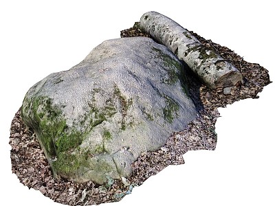 gardening sketch rock log tree moss 3d model