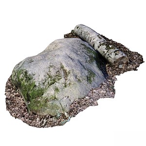 gardening sketch rock log tree moss 3d model