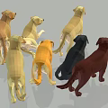 Low Poly Style Dogs in Various Colors and Different Poses on Gray Background 3d model