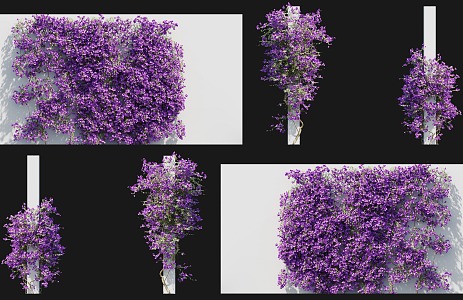 Modern Triangle Plum Vine Climbing Wall Shrub Rhododendron Triangle Plum Blossom Vine Light Leaf Flower Climbing Vine Green Plant Parthenocissus Creeper Vine Plant Climbing Wall 3d model