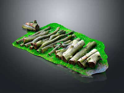 Natural Wooden Logs And Stone Pieces Arranged On Green Grass Surface 3d model