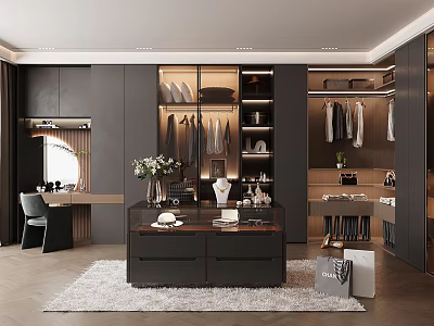 Modern Walk In Closet With Dark Cabinets And Vanity 3d model