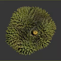 Fresh Ripe Durian Fruit With Shiny Green Spiky Shell And Yellow Stem