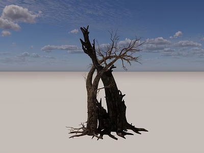 Stone Textured Wood Trunks Of Dead Trees Against Blue Sky With White Clouds 3d model