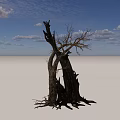 Stone Textured Wood Trunks Of Dead Trees Against Blue Sky With White Clouds