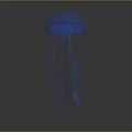 Transparent Blue Jellyfish With Long Flowing Tentacles In Underwater Marine Habitat