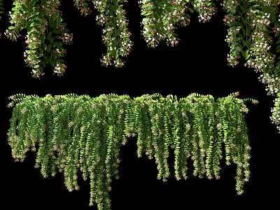 Lush Hanging Vines With Green Leaves And Small White Flowers Decoration 3d model