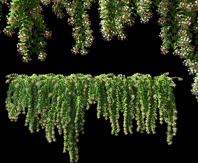 Lush Hanging Vines With Green Leaves And Small White Flowers Decoration 3d model