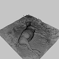Dead Deer With Large Antlers Lying On Ground With Grass And Dirt
