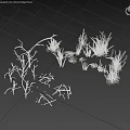Natural Dried Plants Collection With Withered Branches And Dry Grass 3d model