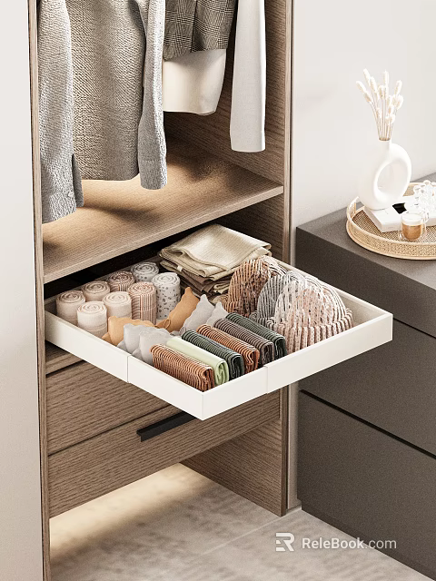 Wooden Wardrobe Drawer With Organized Folded Items And Colorful Storage Design 3d model 