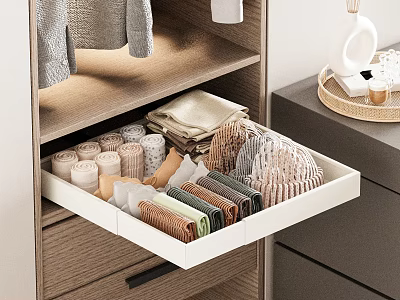 Wooden Wardrobe Drawer With Organized Folded Items And Colorful Storage Design 3d model