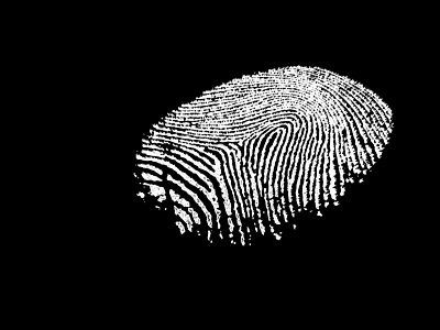 High Resolution Detailed Fingerprint Pattern Isolated On Black Background 3d model