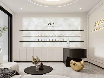 Modern Elegant Beauty Salon Reception Interior With Product Display Shelves And Cozy Lounge Area 3d model