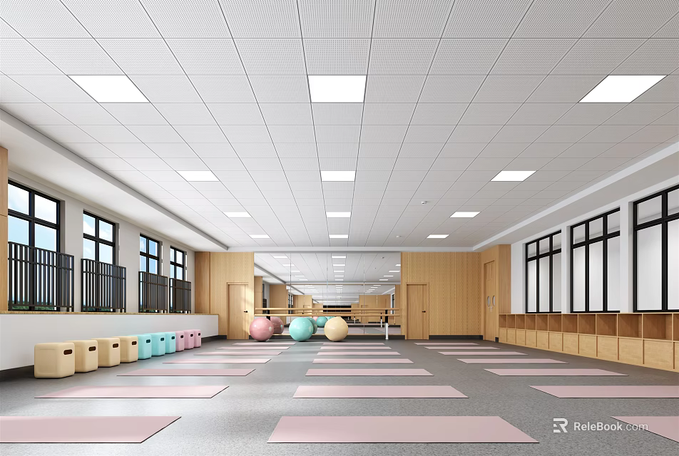 Spacious Indoor Fitness Studio With Yoga Mats Colorful Exercise Balls And Wooden Lockers 3d model 