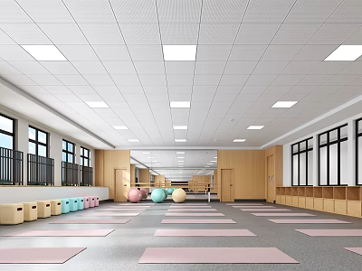 Spacious Indoor Fitness Studio With Yoga Mats Colorful Exercise Balls And Wooden Lockers 3d model