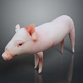 Cute Pink Piglet Standing On Gray Background With Smooth Skin And Adorable Posture