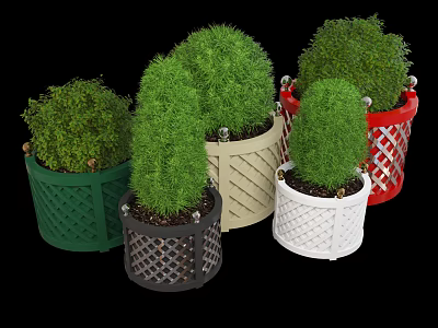 Multiple Green Bonsai Potted Plants In Decorative Grilled Pots With Various Colors 3d model