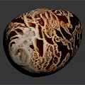 Detailed Organ Structure With Hair Like Texture And Red Brown Surface