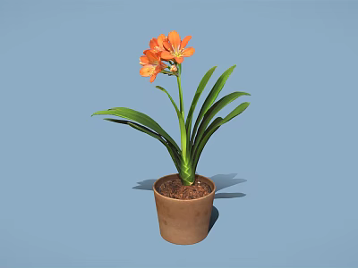 Orange Flowers With Green Leaves In Brown Pot On Blue Background 3d model