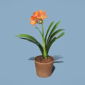 Orange Flowers With Green Leaves In Brown Pot On Blue Background