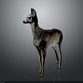 3D Model of a Spotted Deer With Brown and White Fur in Standing Posture