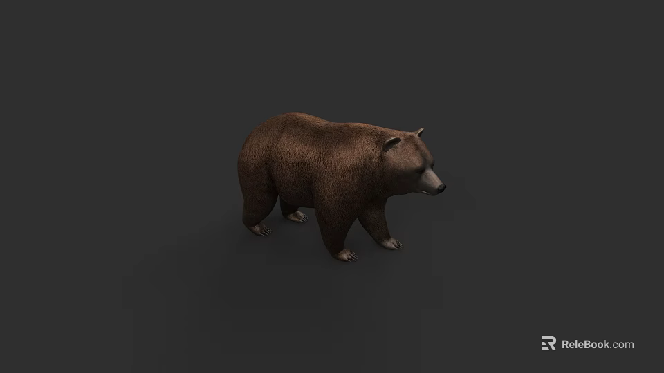 Realistic Brown Bear 3D Model in Standing Pose on Gray Background 3d model