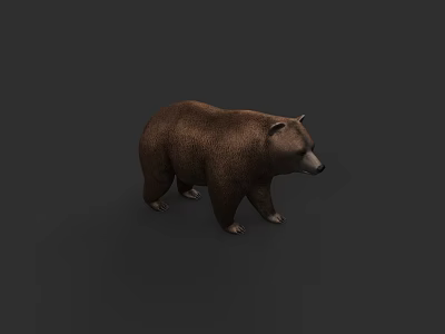 Realistic Brown Bear 3D Model in Standing Pose on Gray Background 3d model