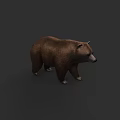 Realistic Brown Bear 3D Model in Standing Pose on Gray Background 3d model