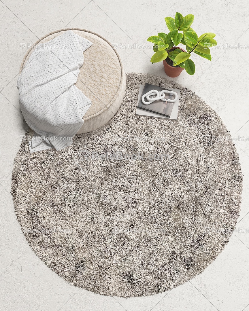 Modern Round Carpet Carpet 3d model