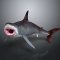 Realistic Shark With Open Mouth Gray Body Red Interior And Dark Fins On Gray Background
