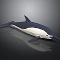 Origami Dolphin Model In Blue And White With Sleek Design And Reflective Surface