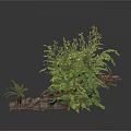 Lush Green Plants With Twigs And Stones In Natural Decorative Scene