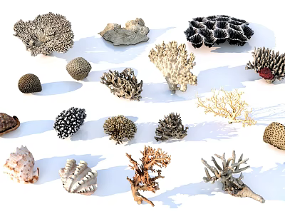 Various Aquatic Plants Featuring Diverse Coral Forms Textures And Marine Shapes 3d model