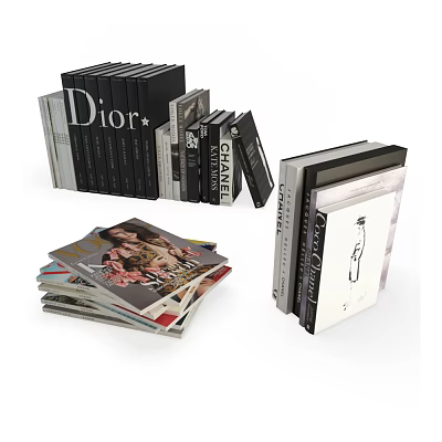 Modern Book Book Ornaments 3d model