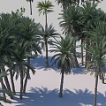 Coconut Tree Palm Tree Coconut Tree Palm Tree Coconut Tree Forest 3d model