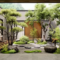 Serene Courtyard Garden With Lush Trees Stones Mossy Areas And Wooden Deck