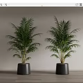 Two Tall Green Potted Palm Plants In Gray Pots For Indoor Decor