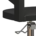 Black Salon Chair With Adjustable Base And Leather Upholstery Armrest Design