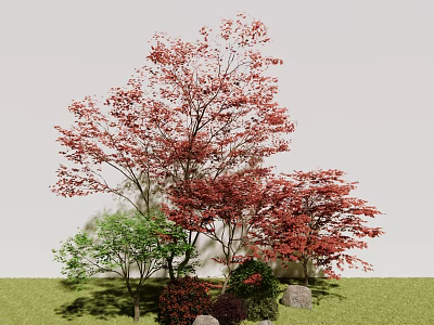 Red Leaf Tree in Garden With Other Green Trees Shrubs Grass And Stones 3d model