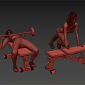Two Women Doing Fitness Workout With Gym Equipment