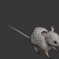 3D Wireframe Rat Character Model With Big Ears For Game And Movie Scenes