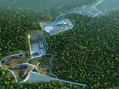 Aerial Planning of Forest Area With Scattered Buildings And Natural Layout 3d model