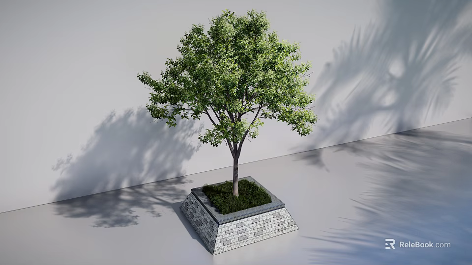 Green Arbor Tree in Square Stone Planter with Light Shadow Effects on Light Colored Wall and Ground 3d model