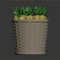 Decorative Wicker Basket Filled With Fresh Green Top Pineapples For Home