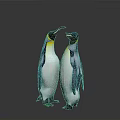 Two Penguins Standing Face to Face Interacting on White Background