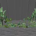 Various Green Shrubs Varieties For Outdoor Garden Landscaping On Wooden Surface