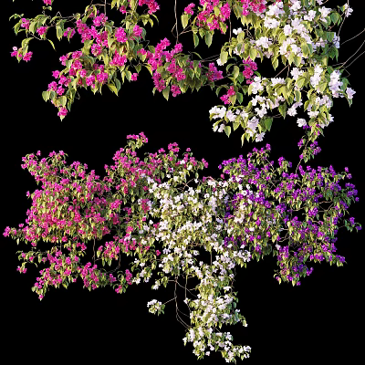 Modern Flowers 3d model Modern Flowers 3d model