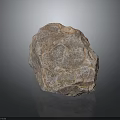 Modern Interior Decor Featuring Natural Stone With Rough Texture And Reflective Surface